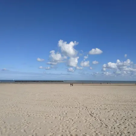 Tatil Evi Royal Terrace - Maison & Parking Prive