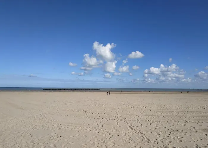 Hébergement de vacances Royal Terrace - Maison Plage&parking Privé